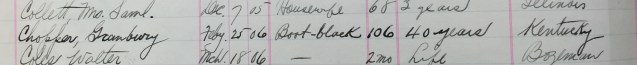 Greenbury Chopper death register cropped
