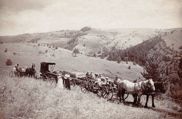 10 Picnic Excursion Wagon